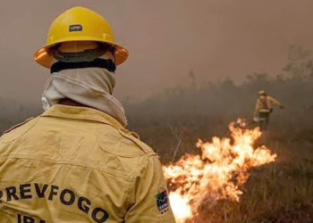 1 Foto: © Ibama/Divulgação