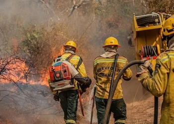 1 Foto: © Vinícius Mendonça/Ibama